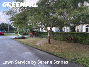 Grass Cutting nearby Miami, FL, 