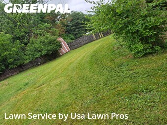 Yard Mowingin Hendersonville,37075,Lawn Cut by Usa Lawn Pros, work completed in Jun , 2026