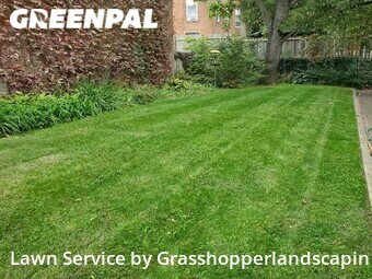 Lawn Cutting nearby Cincinnati, OH, 