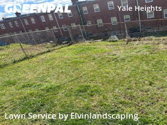 Grass Cutting nearby Baltimore, MD, 