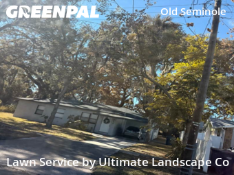 Grass Cutin Tampa,33610,Grass Cutting by Ultimate Landscape Co, work completed in Dec , 2025