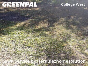 Grass Cutting nearby San Diego, CA, 