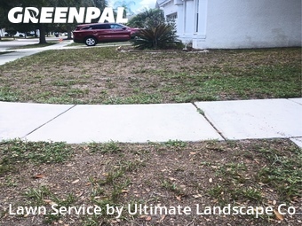 Lawn Cut nearby Ruskin, FL, 