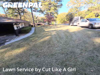 Lawn Mowingin Atlanta,30318,Lawn Cut by Cut Like A Girl , work completed in Dec , 2025