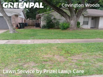 Lawn Mowing nearby Sugar Land, TX, 