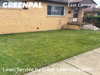 Lawn Mow nearby Carnegie, PA, 