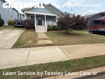 Grass Cut nearby Raleigh, NC, 