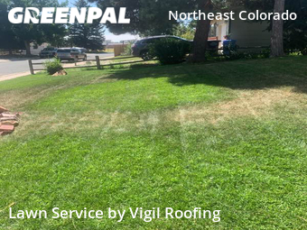 Lawn Cut nearby Colorado Springs, CO, 
