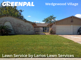 Grass Cutin Friendswood,77546,Lawn Cutting by Larios Lawn Services, work completed in Nov , 2025
