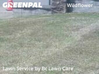 Yard Mowing nearby Wake Forest, NC, 