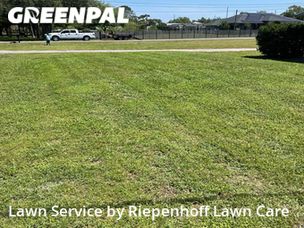 Lawn Mowing nearby Lutz, FL, 