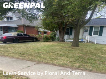 Grass Cut nearby Warren, MI, 