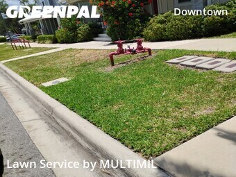 Yard Mowingin Clearwater,33756,Lawn Cut by MULTIMIL , work completed in Jun , 2026