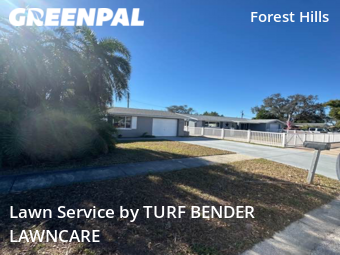 Grass Cut nearby Holiday, FL, 