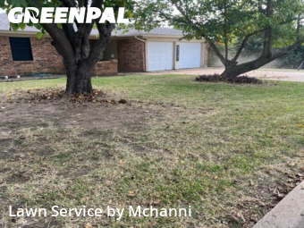 Grass Cuttingin Burleson,76028,Grass Cut by Mchanni, work completed in Nov , 2025