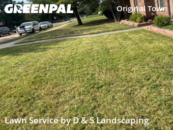 Lawn Maintenance nearby Carrollton, TX, 