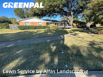 Yard Cuttingin Richardson,75080,Lawn Maintenance by Alfas Landscaping, work completed in Dec , 2025