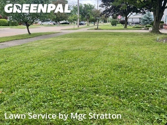 Lawn mowed in Brook Park, 44142