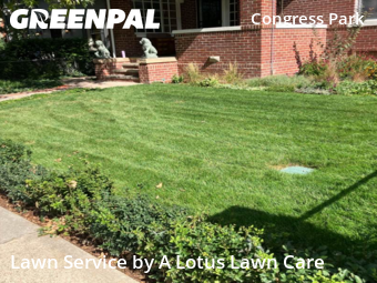 Lawn Service nearby Denver, CO, 