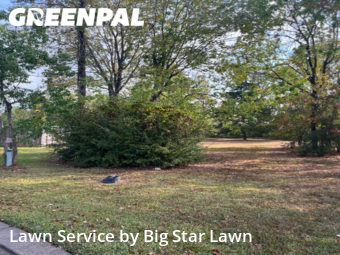 Lawn Cut nearby Conroe, TX, 