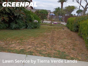 Lawn Cut nearby Los Angeles, CA, 