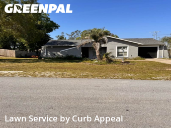 Yard Cutting nearby Spring Hill, FL, 