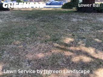 Lawn Care Service nearby San Leandro, CA, 