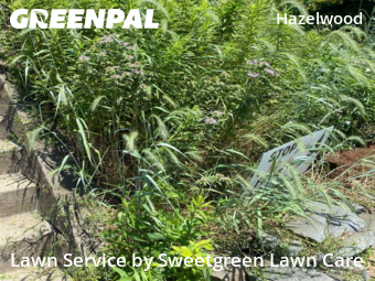 Lawn Cut nearby Pittsburgh, PA, 