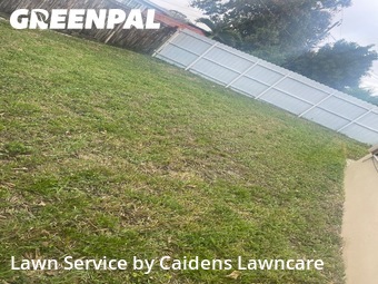 Lawn Cut nearby Miramar, FL, 