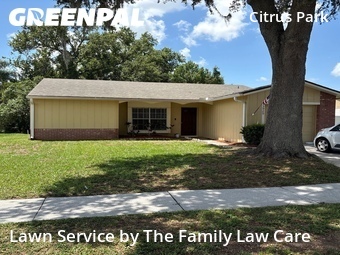 Lawn Care Servicein Tampa,33625,Lawn Cutting by The Family Lawn Care, work completed in Jun , 2026