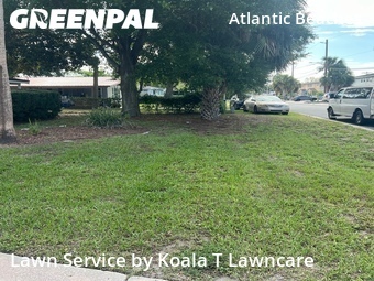 Grass Cutin Atlantic Beach,32233,Grass Cutting by Koala T Lawncare, work completed in Jun , 2026