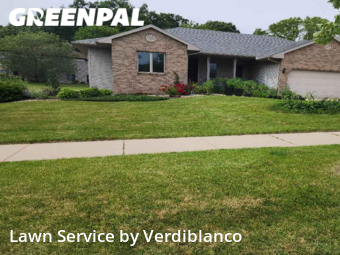 Grass Cutting nearby Madison, WI, 