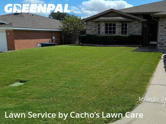 Grass Cut nearby Fort Worth, TX, 