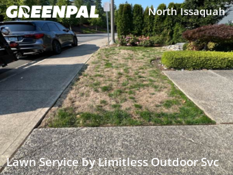 Lawn Upkeep in Issaquah, 98029, Yard Care Services by Limitless Outdoor Svc, work completed in Nov , 2025