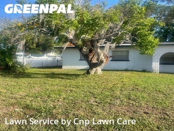 Lawn Care nearby Bartow, FL, 