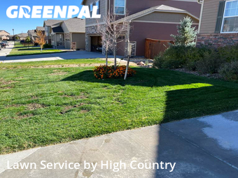 Grass Cutting nearby Thornton, CO, 