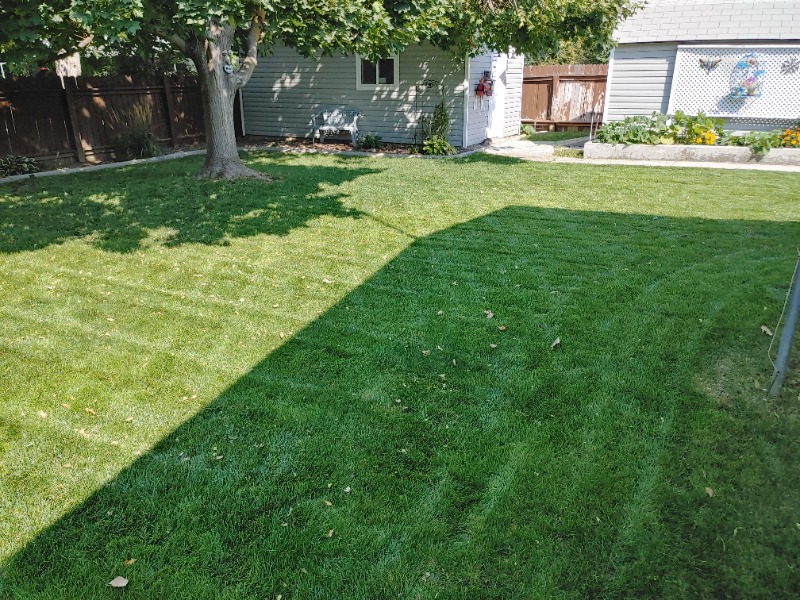 Aaa Landscaping Lawn Care Services in Boise, ID