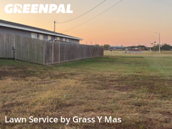 Lawn Maintenance in Harlingen, 78550, Yard Upkeep by Grass Y Mas , work completed in Dec , 2025