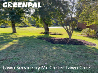 Yard Cutting nearby Taylors, SC, 