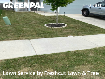 Grass Cut nearby Converse, TX, 