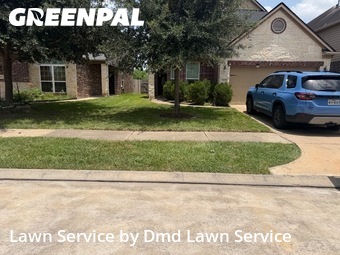 Grass Cut nearby Houston, TX, 