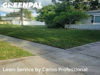 Yard Cutting nearby St. Petersburg, FL, 