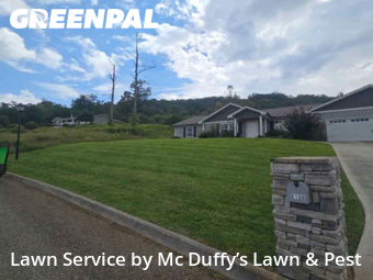 Yard Mowing nearby Knoxville, TN, 