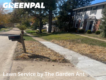 Grass Cutting nearby Chesterfield, MO, 