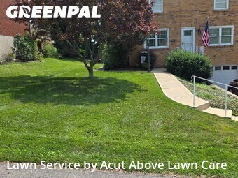 Grass Cutting nearby Bethel Park, PA, 