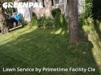 Grass Cut nearby Saint Charles, MO, 