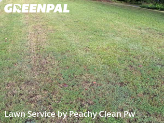 Grass Cutting nearby Hiram, GA, 