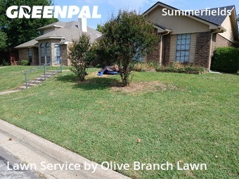 Lawn Cutting nearby Fort Worth, TX, 