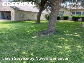 Lawn mowed in Round Rock, 78664