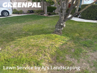 Work completed by affordable-landscaping-maintenance-services-in-Manteca-CA